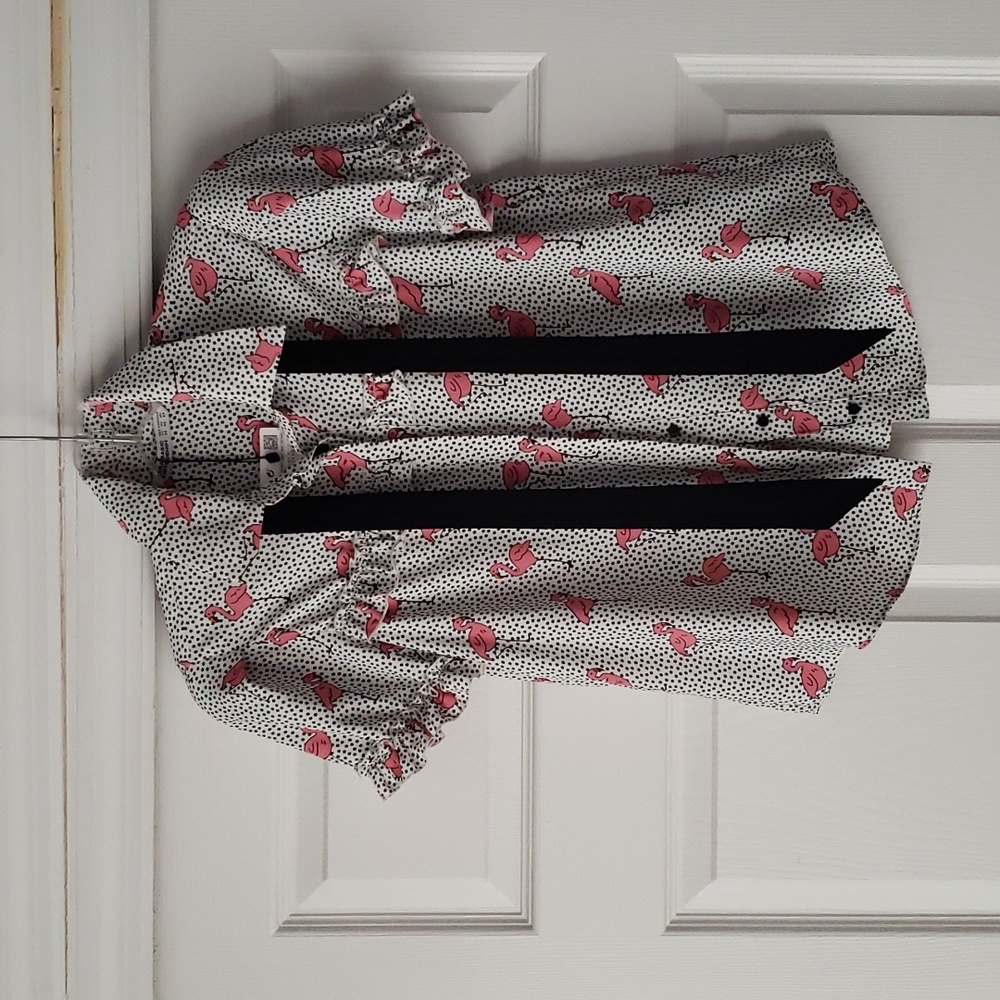 ZARA Flamingo Blouse